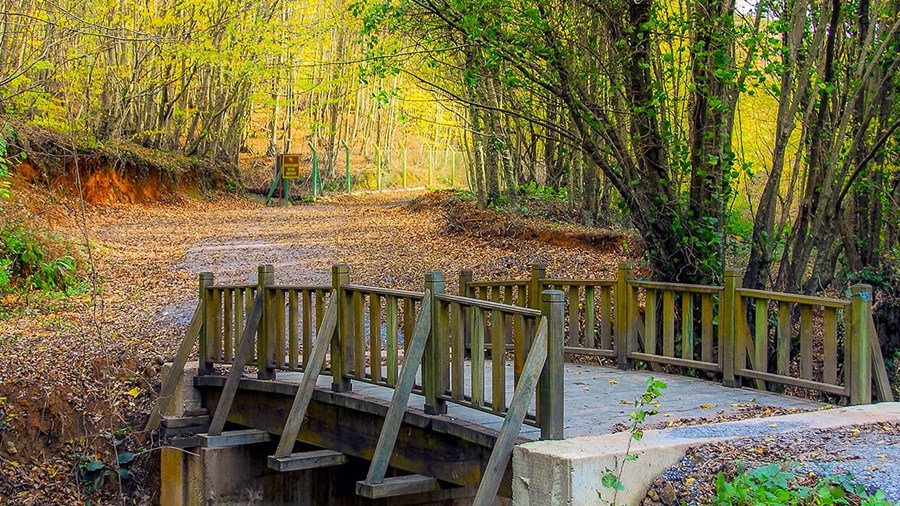 Explore Polonezköy Forest Trails- Istanbul’s Asian Side Jewel